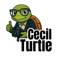 Cecil Turtle Digital Agency Logo